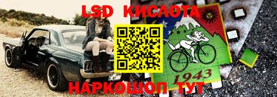 спайс Кимры