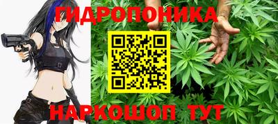 винт Кингисепп