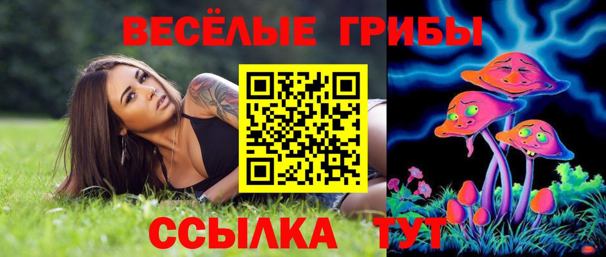 Псилоцибиновые грибы Magic Shrooms  Вход с VPN  Звенигород 